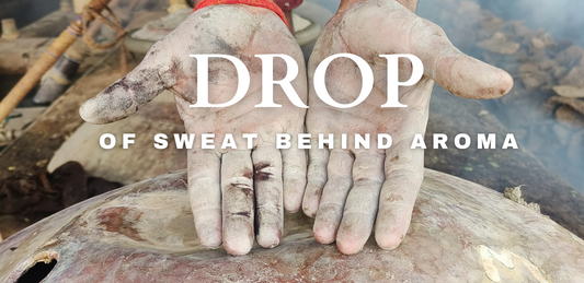 Drop of Sweat Behind Aroma