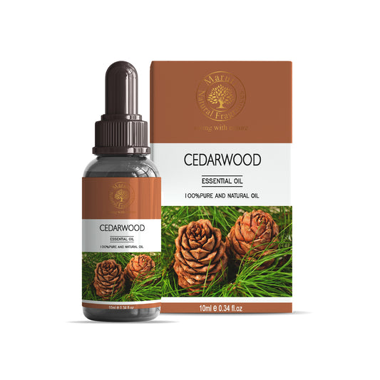 Pure Cedarwood Essential Oil Bottle – Natural Woody Aromatherapy Oil from Kannauj by Maruti Natural Fragrances