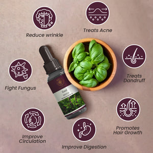 Pure Basil Essential Oil – Refreshing Herbal Oil for Mind & Body Balance | Maruti Natural Fragrances