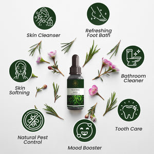 Tea Tree Essential Oil – 100% Natural Bulk Supply | Kannauj MNF