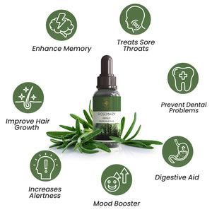 Rosemary Essential Oil – Fresh Herbal Aroma | Maruti Natural Fragrances