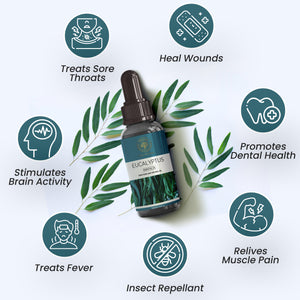 Pure Eucalyptus Essential Oil Bottle – Natural Refreshing Diffuser & Massage Oil from Kannauj by Maruti Natural Fragrances