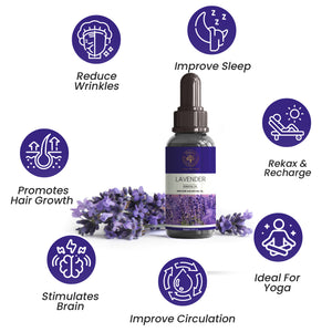 Lavender Essential Oil – Pure Calming Aromatherapy Oil