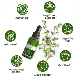 Thyme Essential Oil – Herbal & Refreshing Aroma