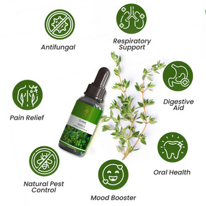 Thyme Essential Oil