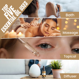 Ginger Essential Oil