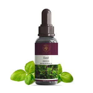 Pure Basil Essential Oil – Refreshing Herbal Oil for Mind & Body Balance | Maruti Natural Fragrances