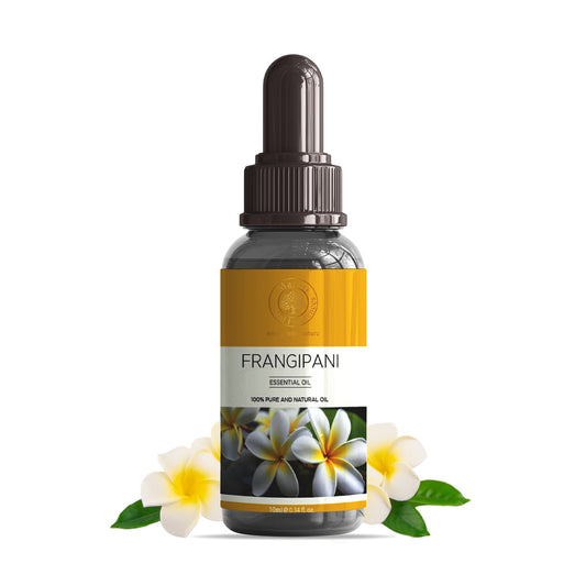 Frangipani Essential Oil by Maruti Natural Fragrances – pure natural floral oil distilled in Kannauj