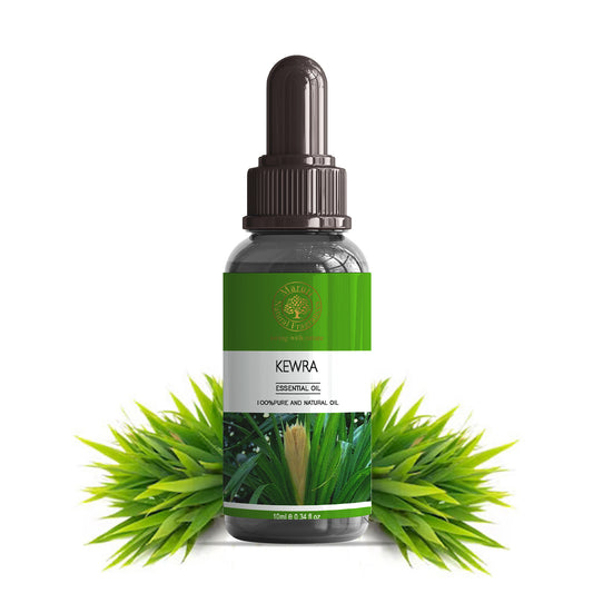 Kewra Essential Oil by Maruti Natural Fragrances – pure natural kewra oil distilled in Kannauj
