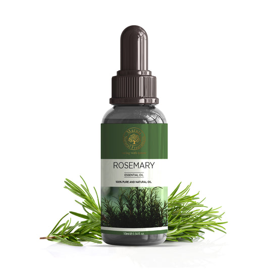 Rosemary Essential Oil Bottle by MNF Fragrances – Natural Hair Growth & Aromatherapy Oil