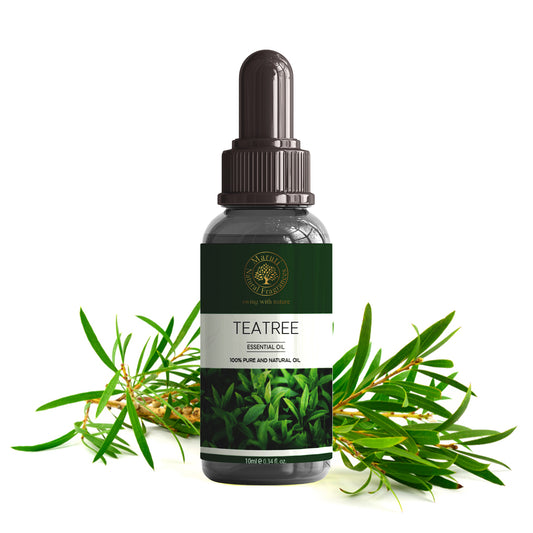 Tea Tree Essential Oil – 100% Natural Bulk Supply | Kannauj MNF