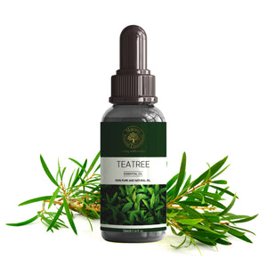 Tea Tree Essential Oil – 100% Natural Bulk Supply | Kannauj MNF