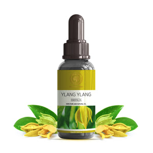 Ylang Ylang Essential Oil Bottle by Maruti Natural Fragrances – Pure Exotic Floral Aroma Oil