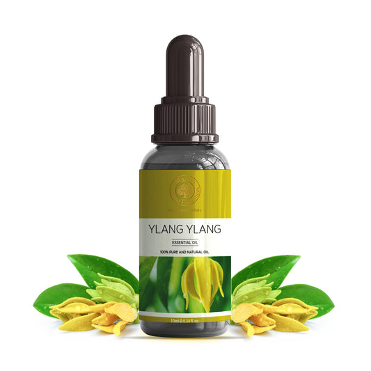 Ylang Ylang Essential Oil Bottle by Maruti Natural Fragrances – Pure Exotic Floral Aroma Oil